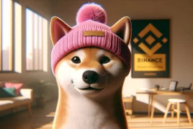 binance-destegi-de-geldi-iste-alinmasi-gereken-3-meme-coin-G4fDSmZN.webp